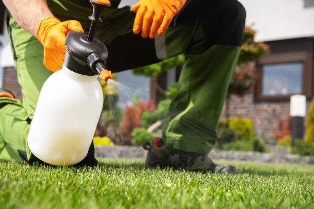 Best Rat Extermination Near Me  in York, AL