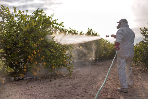Best Cockroach Control Services  in York, AL