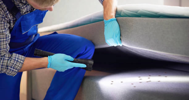 Best Affordable Pest Control Services  in York, AL