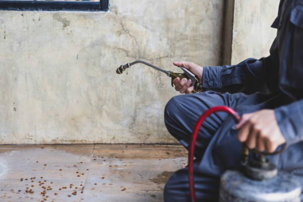 Best Flea Control Services  in York, AL