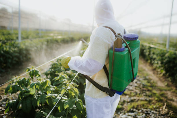 Best Exterminator Services  in York, AL
